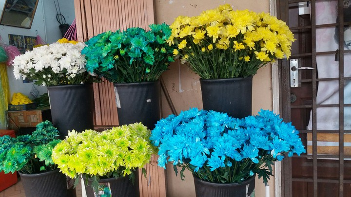 Indian Flower