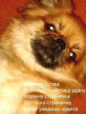 с новым годом