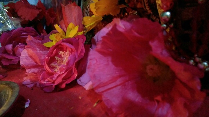 flowers