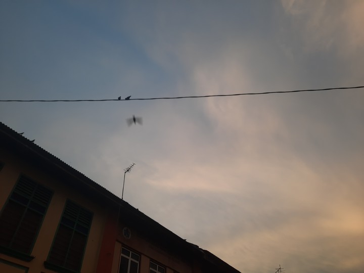 evening