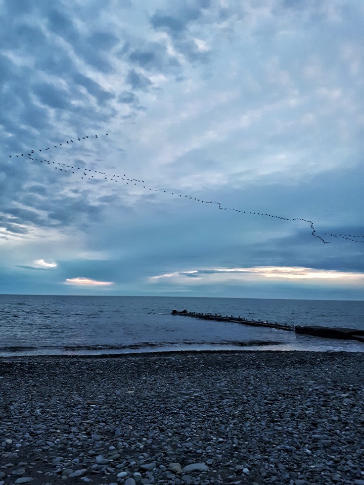 море