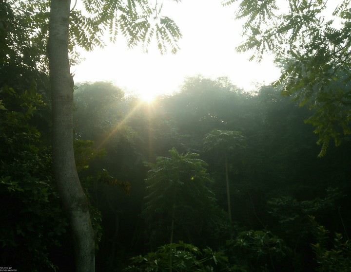Good morning frnds have a Nice Day