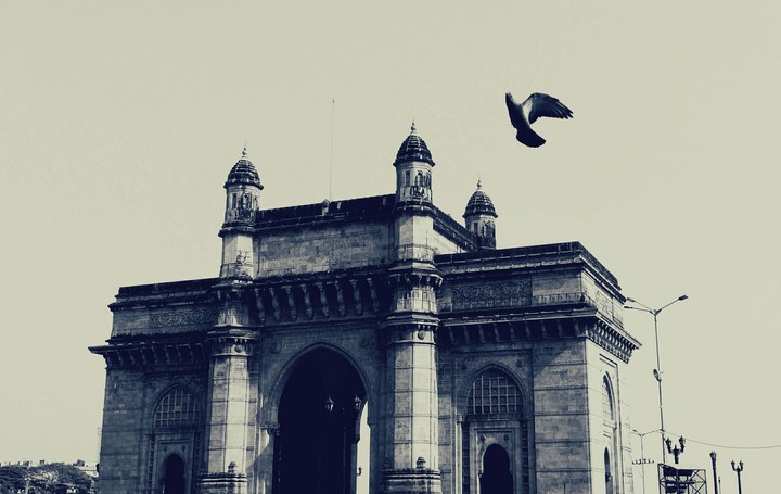 Udaan