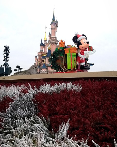 Disneyland