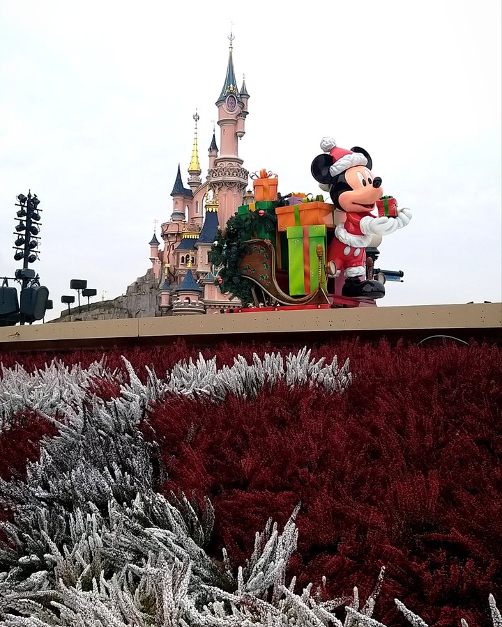 Disneyland