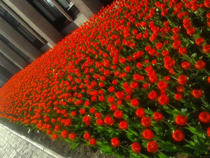 Too much red