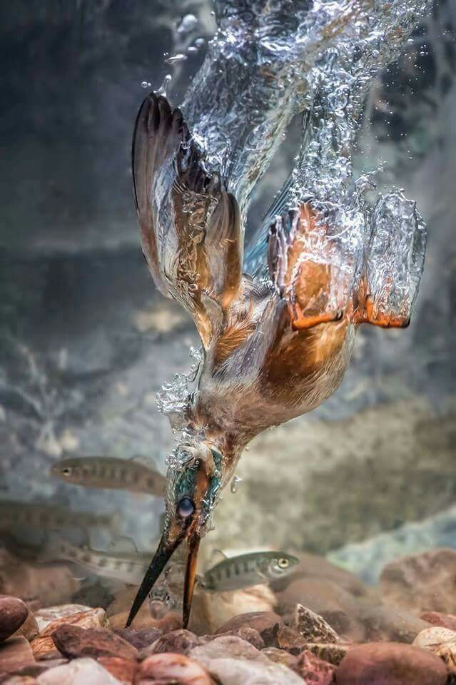 under water