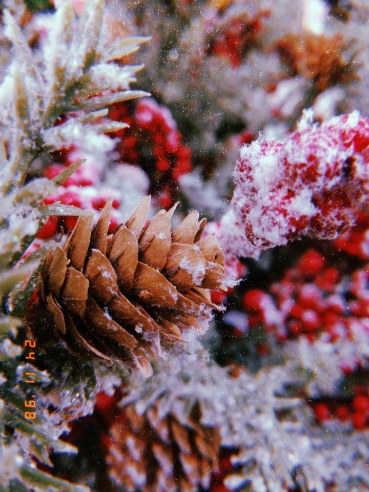 snow