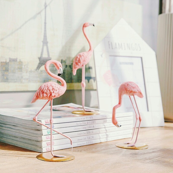 Flamingo ❤