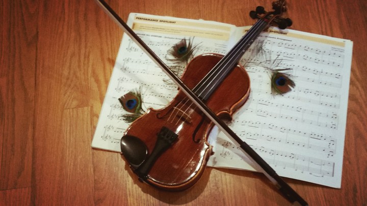 The Violin