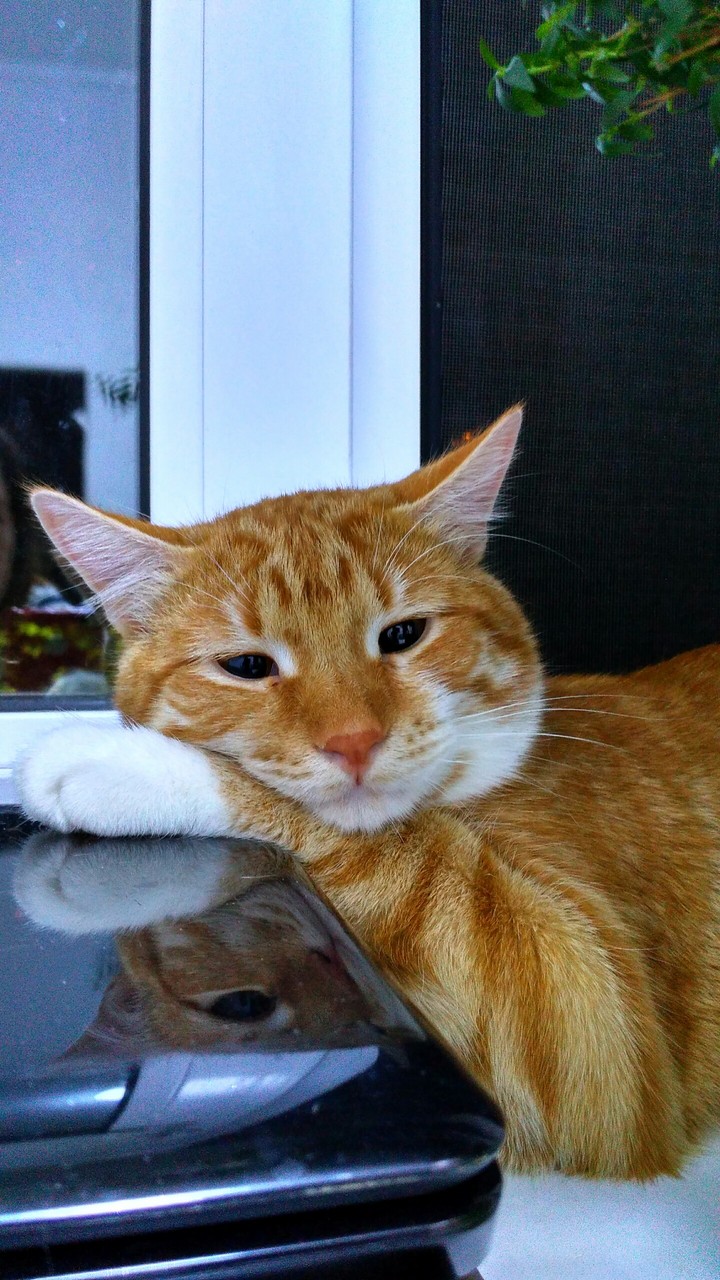 Василий