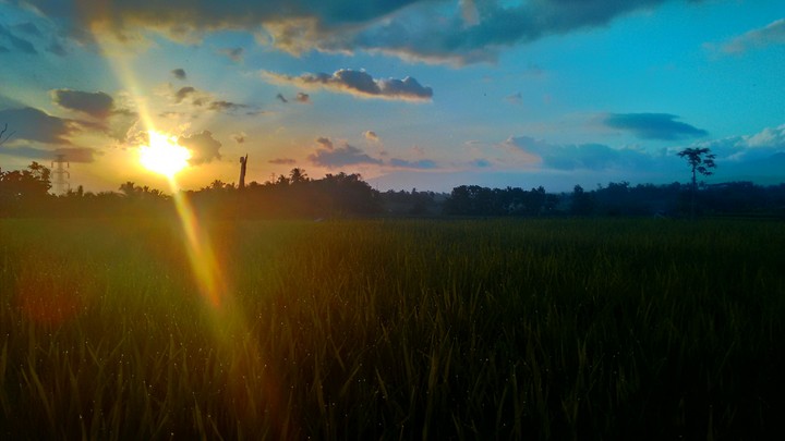 sunset
