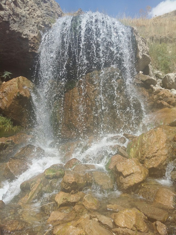 güzel