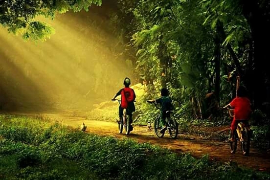 the beauty of Indonesia's nature