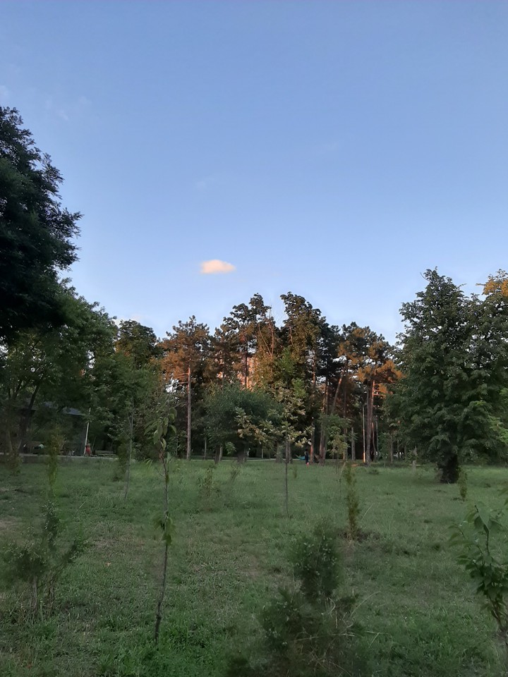 парк