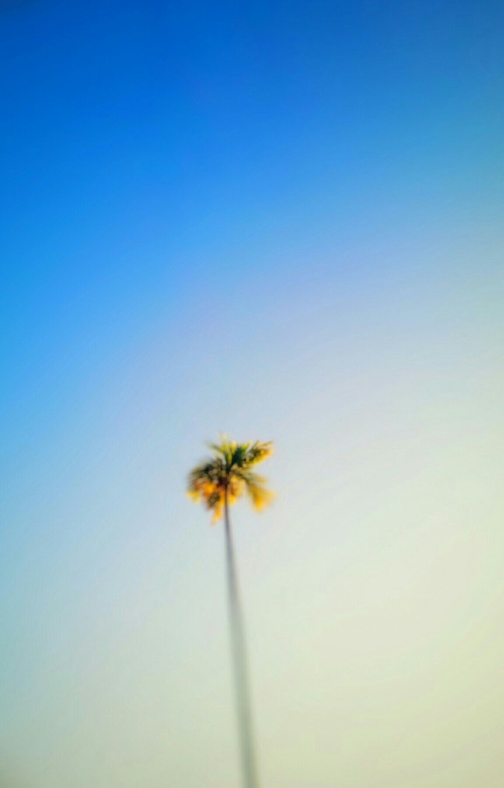 focus