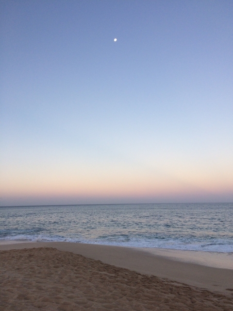 lonely star on the beach