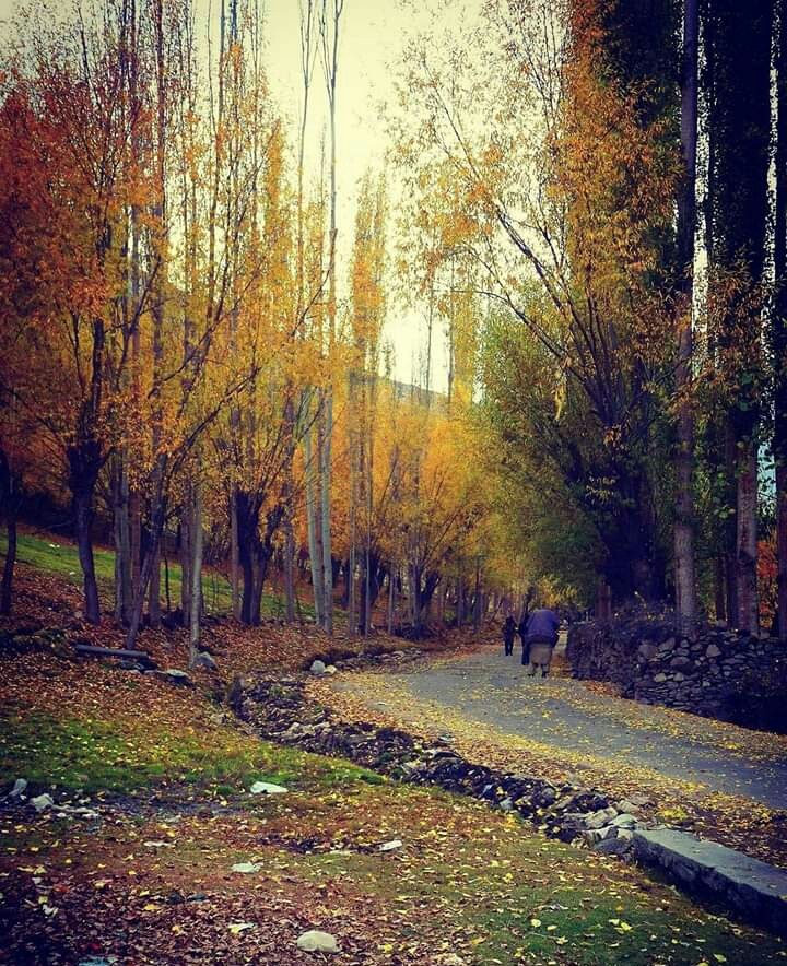 Hoper Valley Pakistan