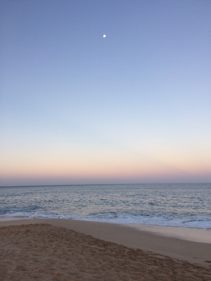 lonely star on the beach