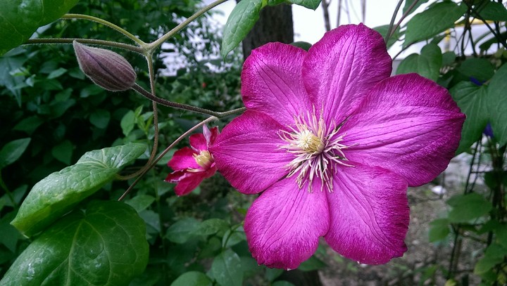 Love the nature as it loves you