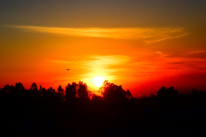 sunset