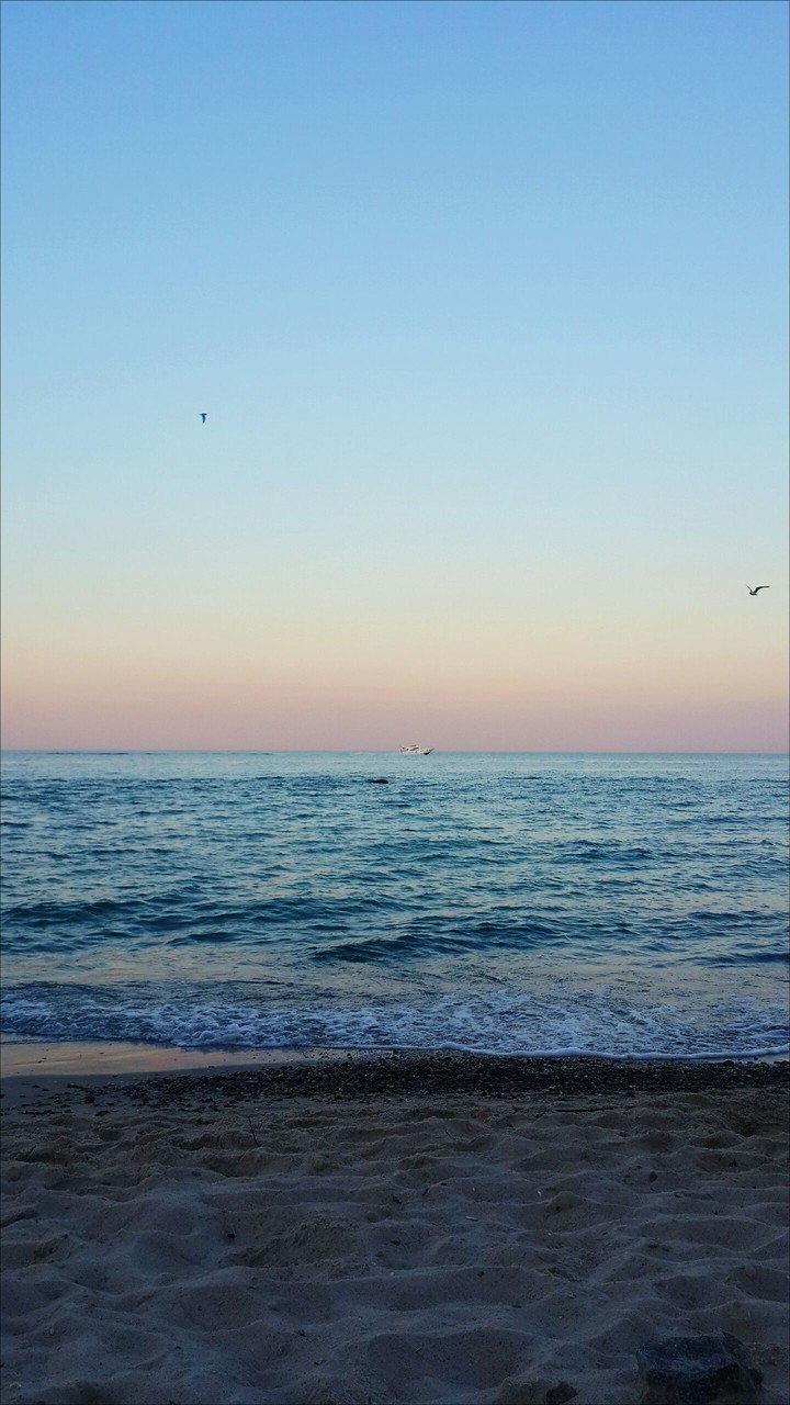 Sea sunset