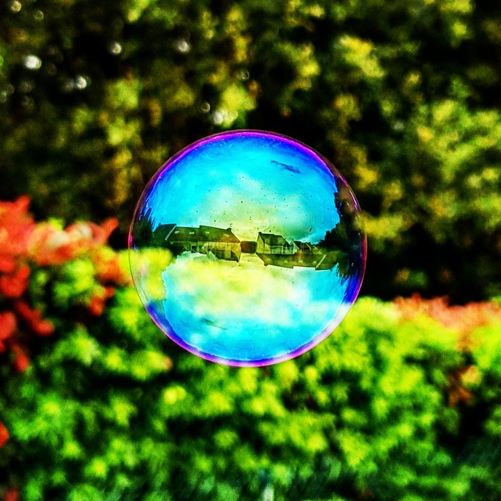 bulle