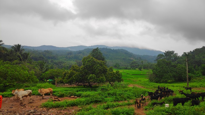 hill station