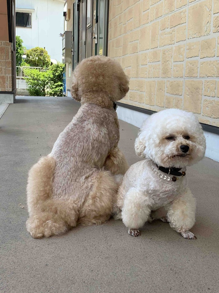Lucky & Money