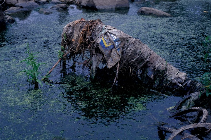 Water Garden