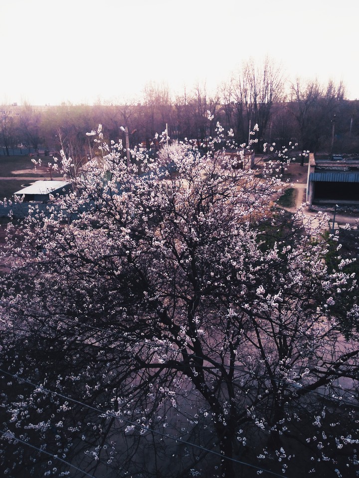 Spring