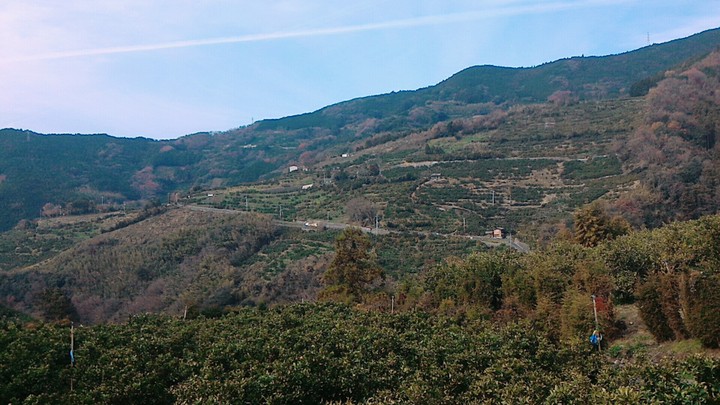 山登り中