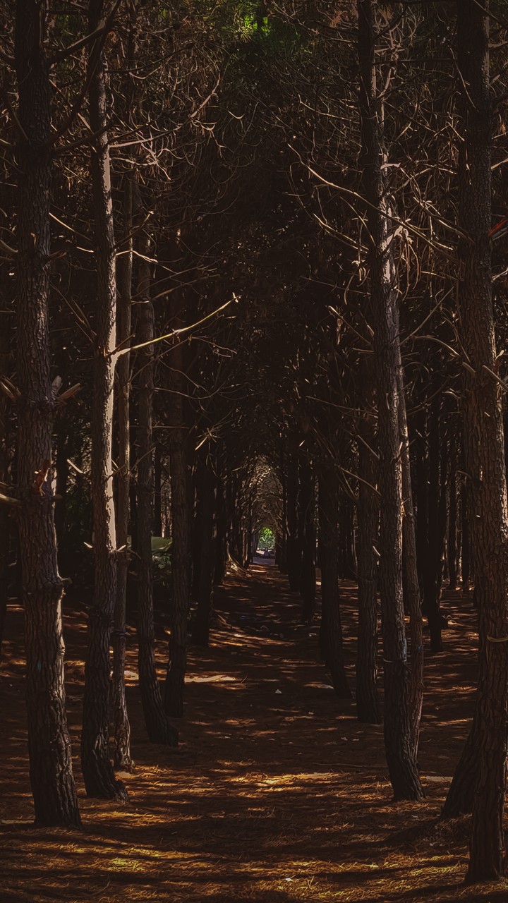 Dark tunnel