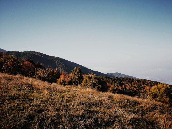 mountain
