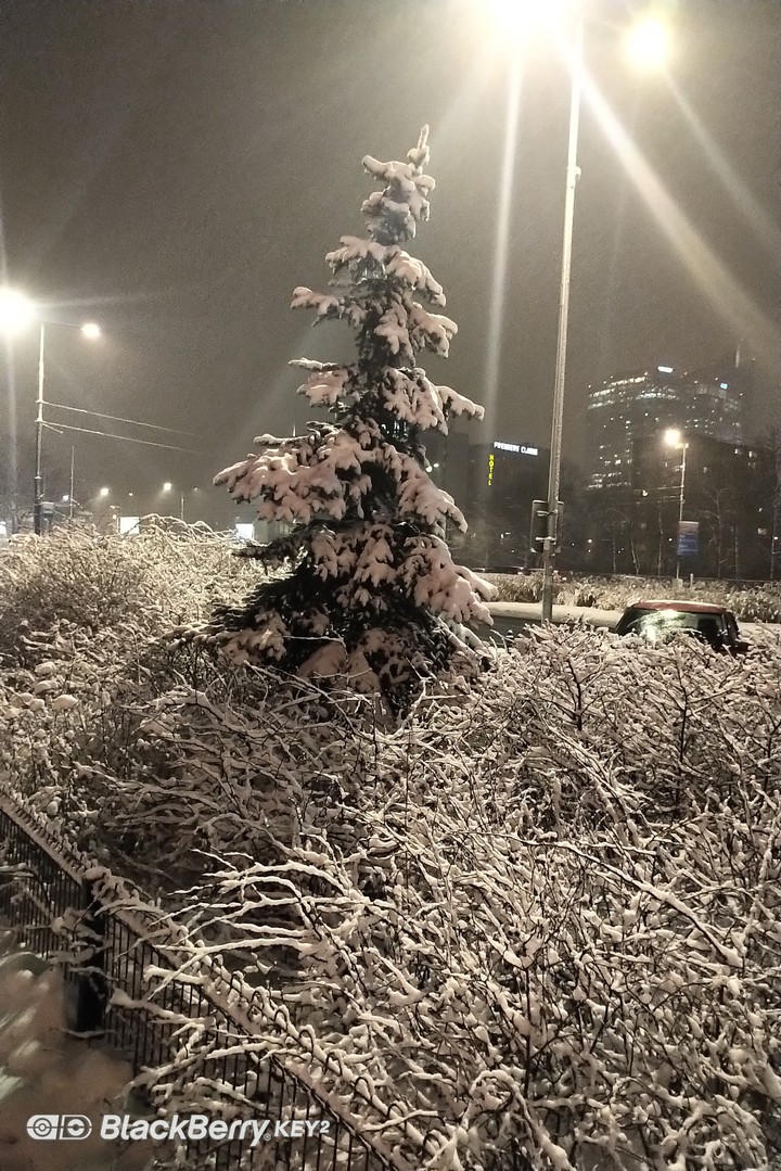 winter
