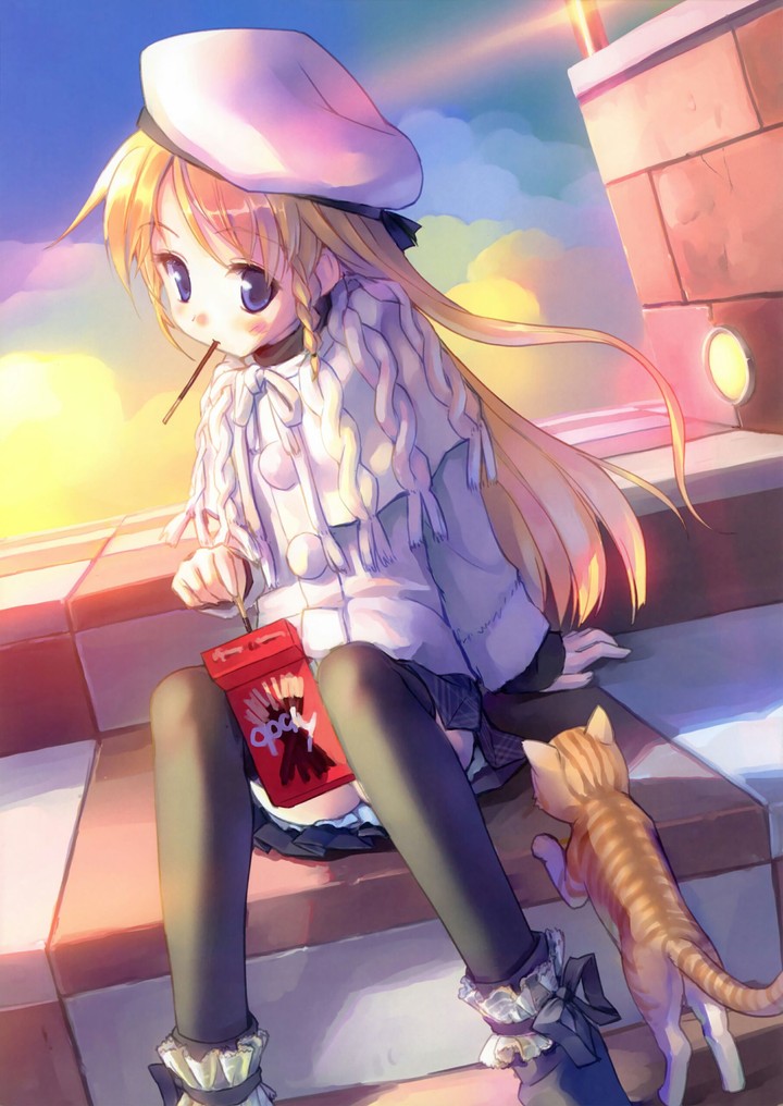 Kogemashita 49