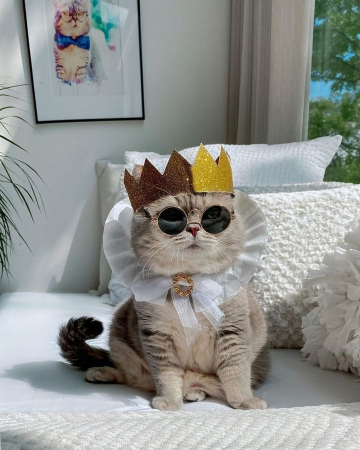 .