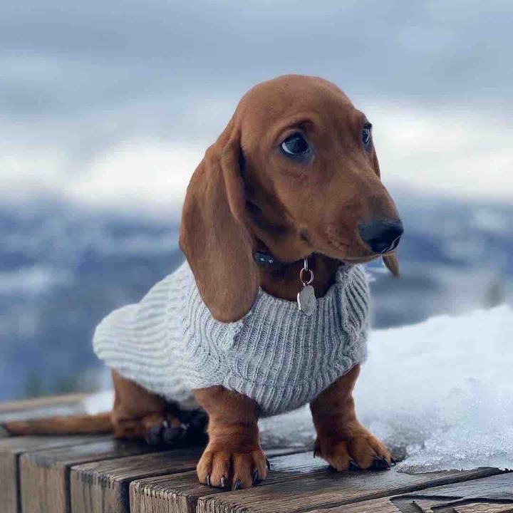 new sweater  :-)