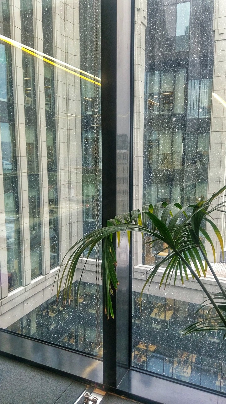#moscow #office #window