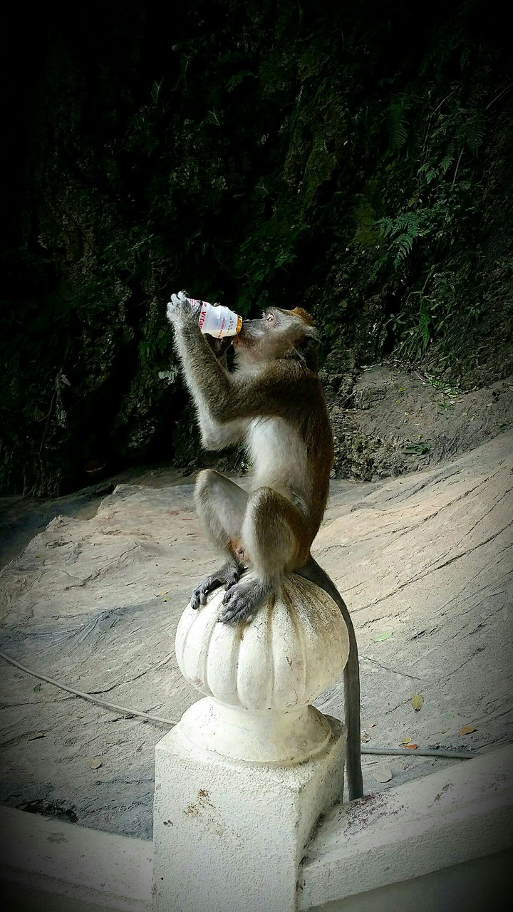 malaysia
