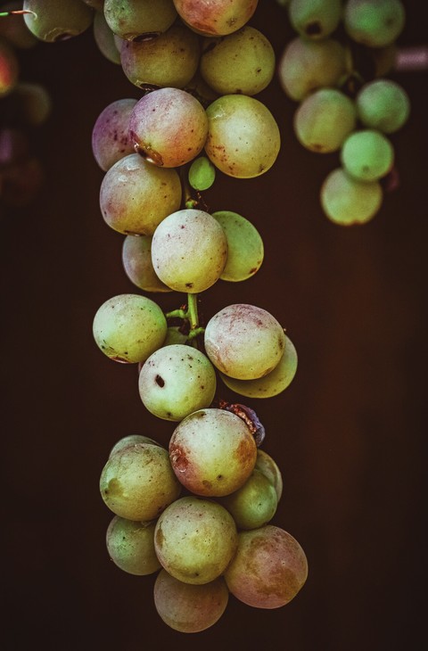 grapes