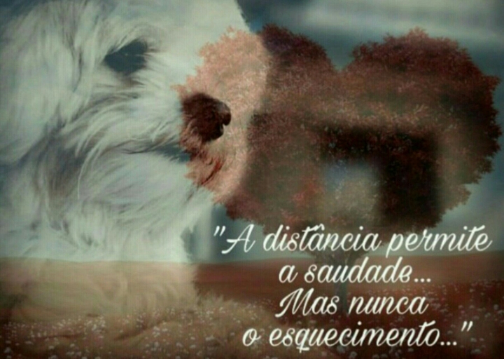 aos amigos..friends