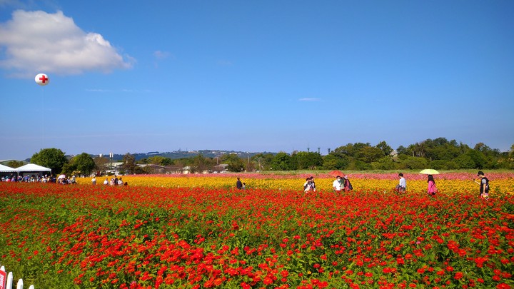 Taiwan-Flower Festival.