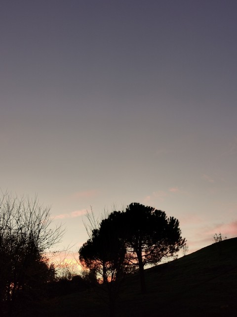 couché de soleil