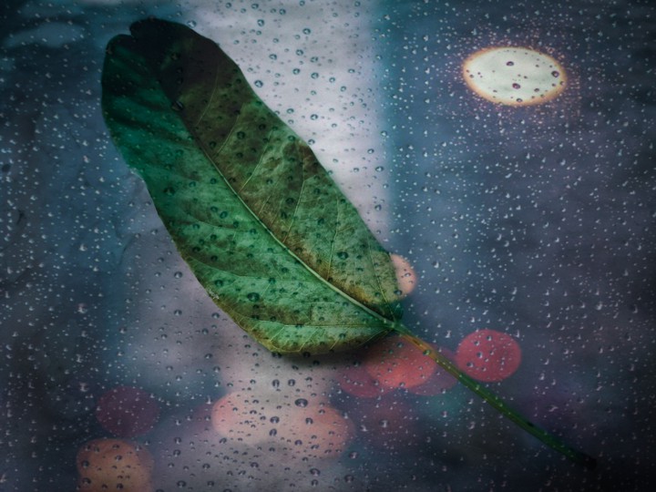 rain