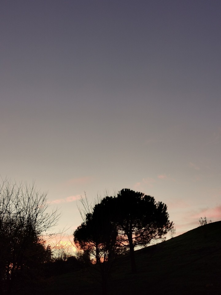 couché de soleil
