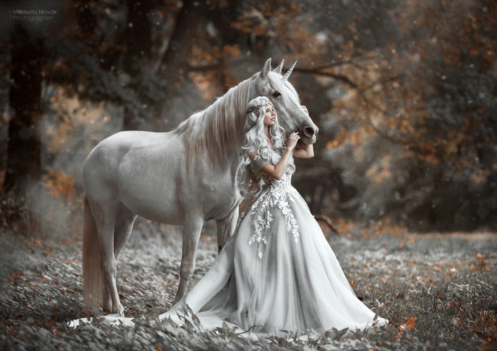 Unicorn