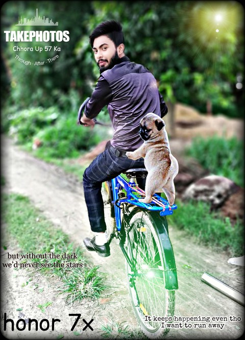 my dog
