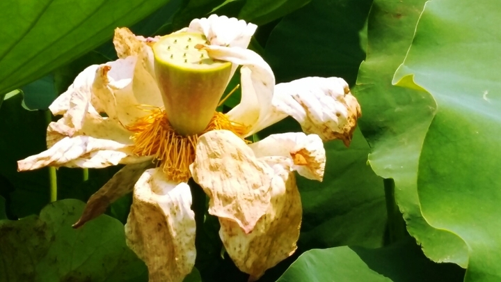 하루 더 살아내기