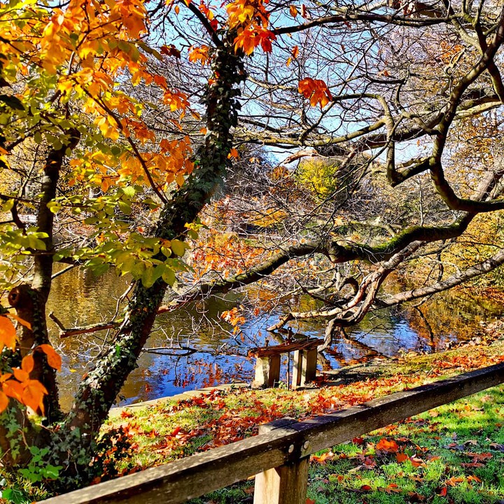 Rombergpark

Dortmund